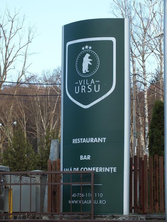 Vila Ursu Din Sovata Bai Kültér fotó